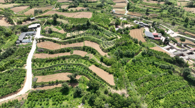 6月10至17日！聚焦井陉这家种植园