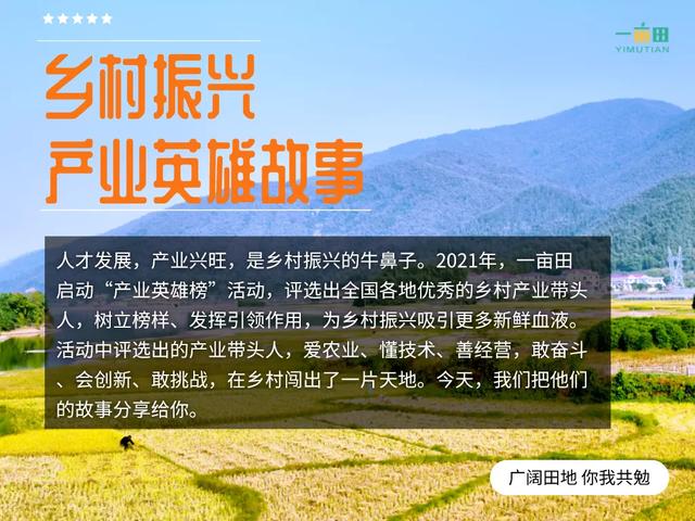 彝族大哥转行种核桃，年入千万，覆盖面积8万亩合作农户1500户