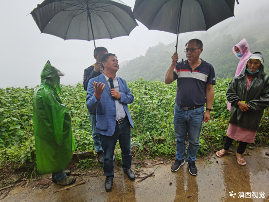 保山龙陵镇宝村：“金豆”灰暗 科技提“亮”