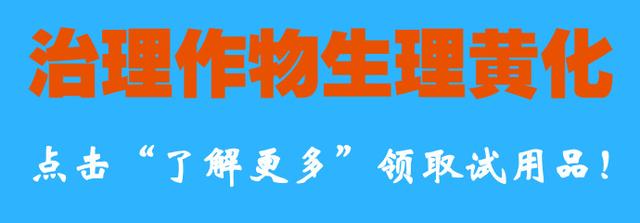 滴灌施肥到底有什么好处？怎么使用才正确？