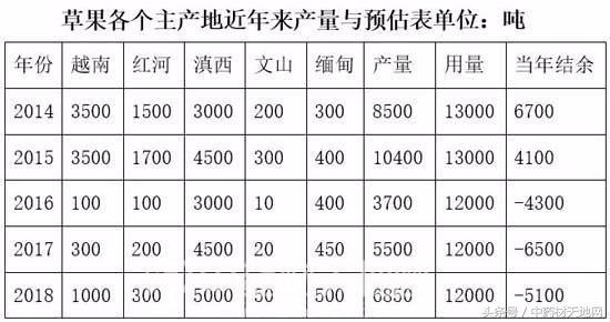 草果价格屡创新高，今年种植地产量锐减？来看看中越产区一线