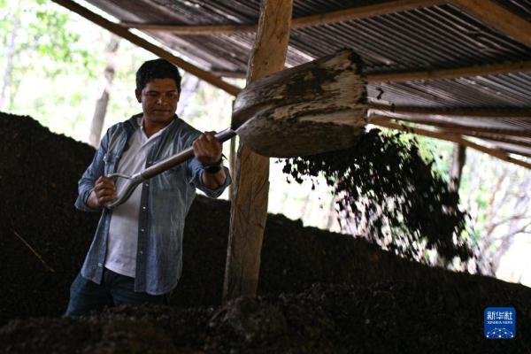 洪都拉斯：探访咖啡种植园和工厂