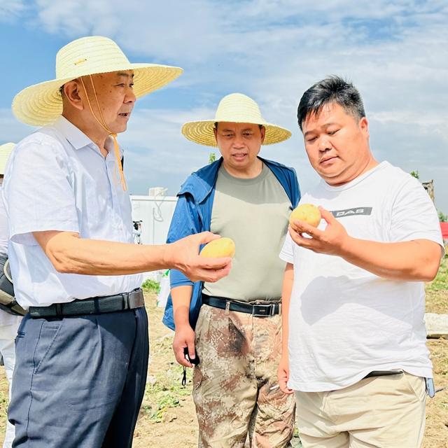 陈永红：退役军人回乡种植马铃薯 勇当乡村振兴排头兵