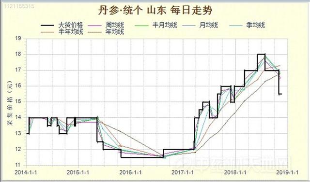 一线直击：山东丹参大面积产新 丰产年行情下挫