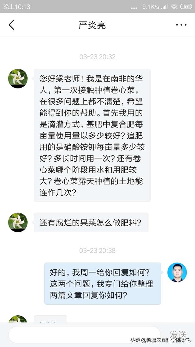 关于南非卷心菜灌溉和施肥的推荐方案及策略