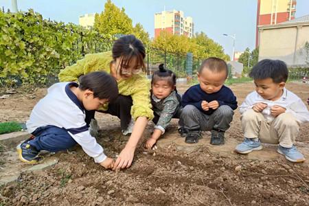 东营市东营区辛店街道中心幼儿园开展“快乐种植”主题活动