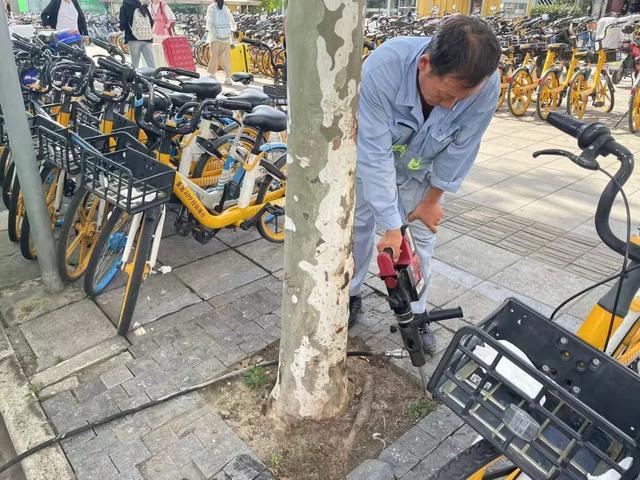 秋施底肥是黄金～绿植补营养走起→