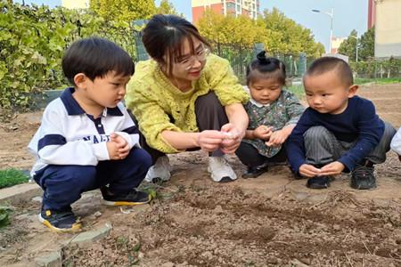 东营市东营区辛店街道中心幼儿园开展“快乐种植”主题活动