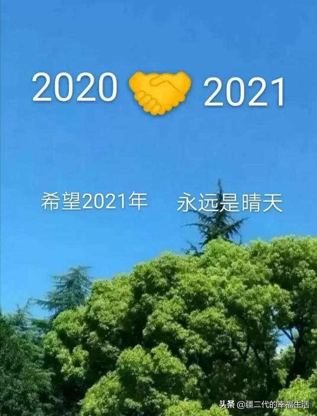 新疆中药材，2020你若不弃，2021年我们继续