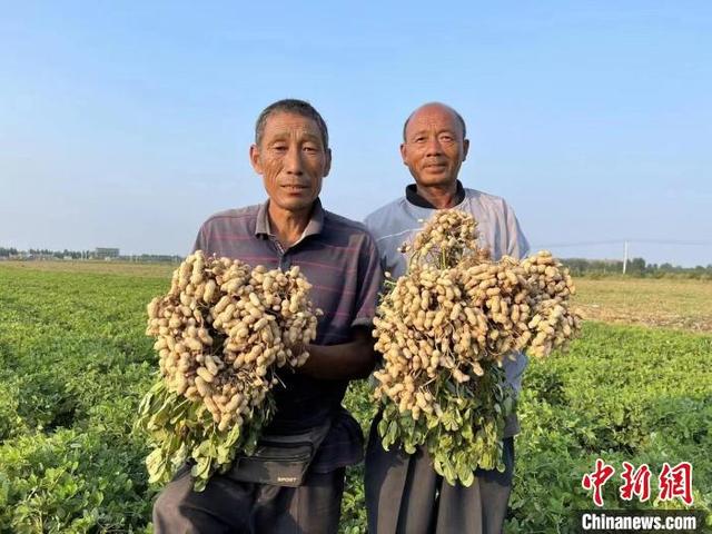 稳固“压舱石”端好“中国碗”河北农业练内功化“大”为“强”