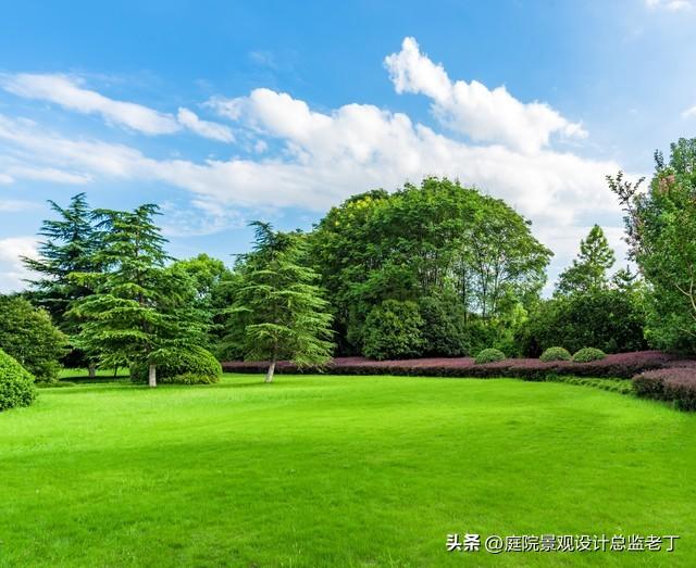 庭院不要过度种植草坪