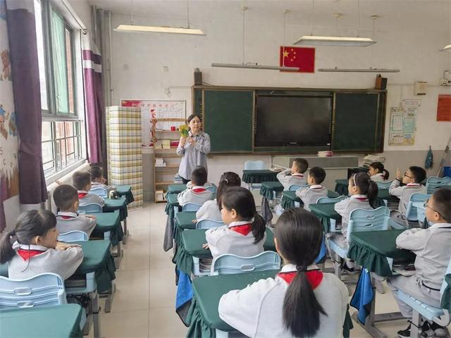 立德树人，劳动先行——济南市外海实验学校二年级油菜种植之旅