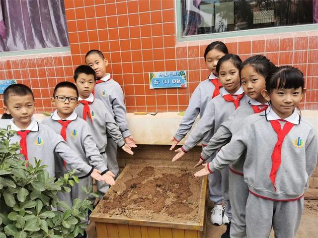 立德树人，劳动先行——济南市外海实验学校二年级油菜种植之旅