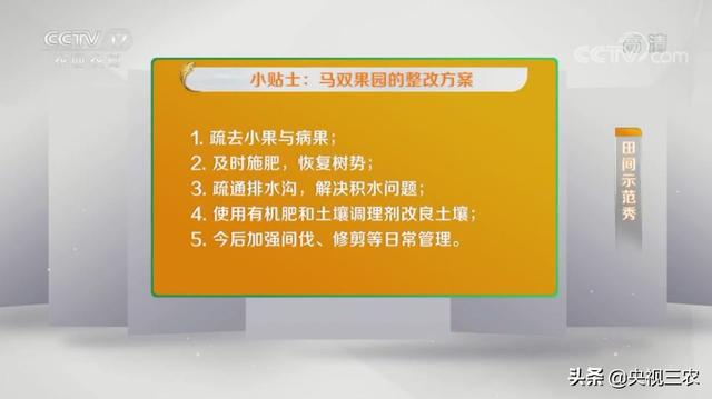 砂糖桔全攻略！大小果咋办？怎么一眼“看”出最甜的果？