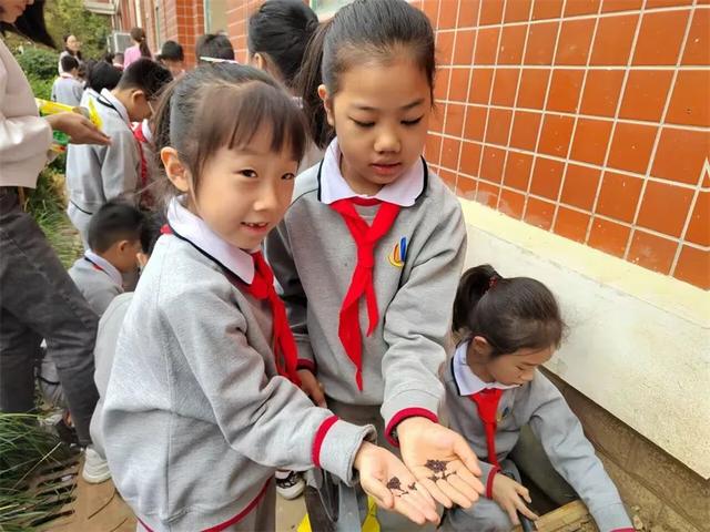 立德树人，劳动先行——济南市外海实验学校二年级油菜种植之旅