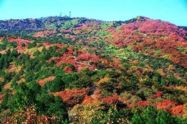 2021北京红叶观赏指南！20处最美赏秋地，什么时候看、怎么看，这里统统有