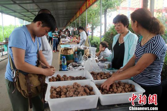 河北涞水现直径62毫米六棱“麻核桃王”