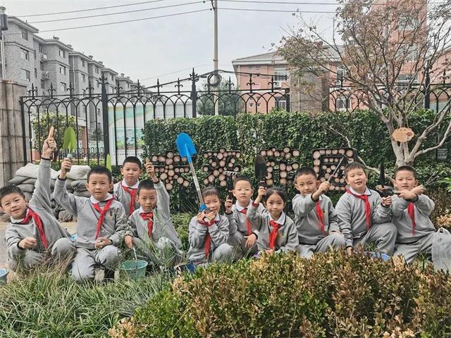 立德树人，劳动先行——济南市外海实验学校二年级油菜种植之旅