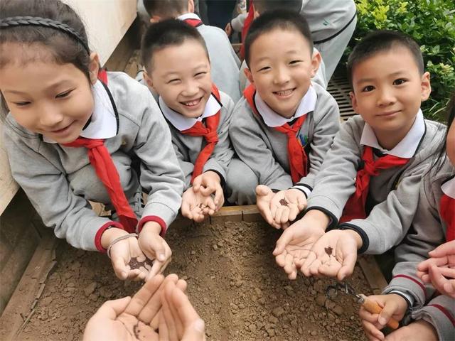 立德树人，劳动先行——济南市外海实验学校二年级油菜种植之旅