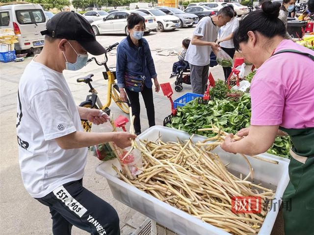 藕带出产旺季到来，低价持续至6月将现反弹