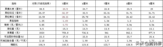 阳光玫瑰葡萄无核栽培技术