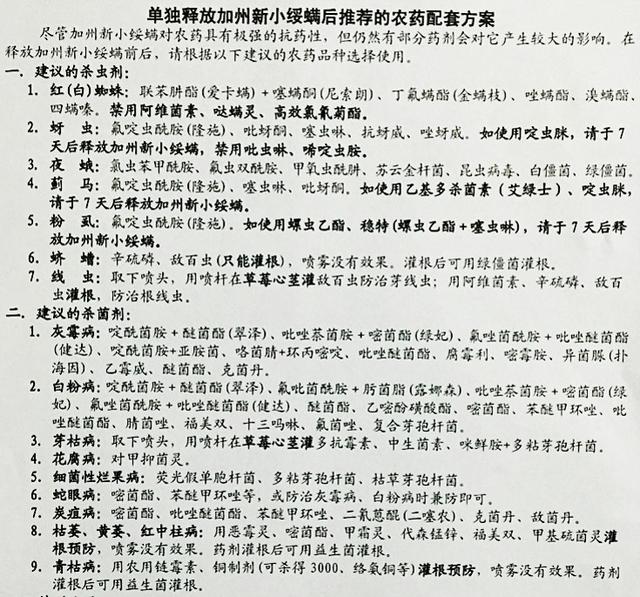 草莓红蜘蛛爆发期快来了！99%的人不知道这些干货