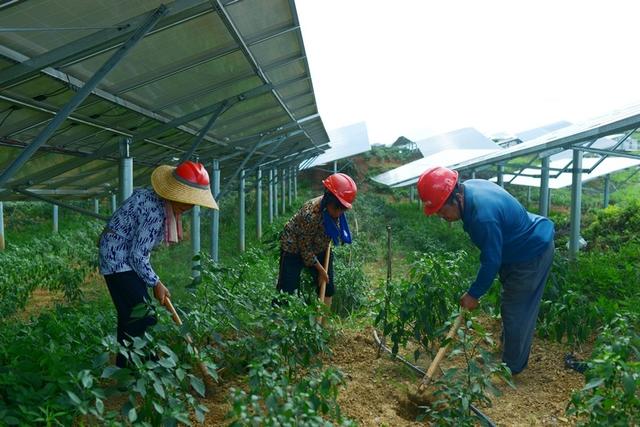 贵州金元黔西南新能源公司：让光伏电站和风电场在黔西南州遍地开花