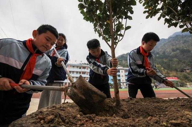 贵州从江：小学生植树添新绿