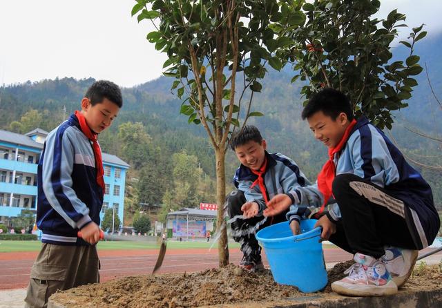 贵州从江：小学生植树添新绿