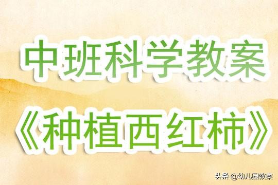 幼儿园中班科学课教案《种植西红柿》含反思