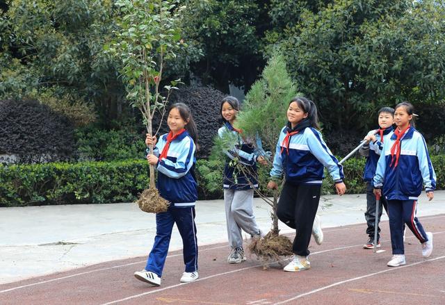 贵州从江：小学生植树添新绿