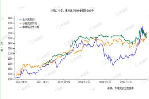 2015年玉米种植面积(“疯狂”的玉米：种粮大户兴起壮大，有时一年到头“种了个寂寞”)