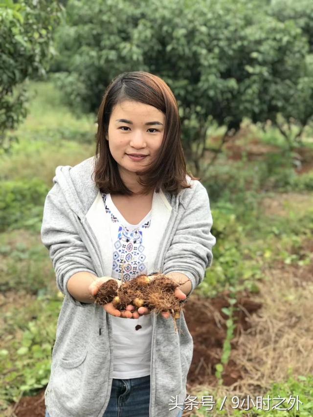 田园趣事（挖毛薯），自己劳动所获的吃起来就是不一样