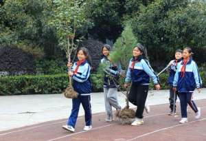 学校种植树苗(贵州从江：小学生植树添新绿)