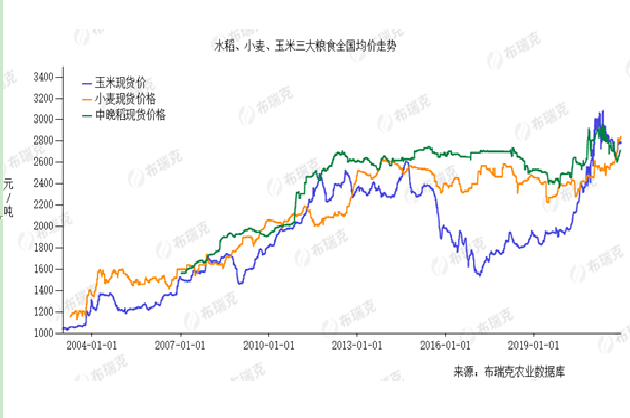 “疯狂”的玉米：种粮大户兴起壮大，有时一年到头“种了个寂寞”