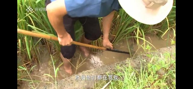 湖南男子承包100亩山地种辣椒，如今辣椒价格翻3倍，年销售400万