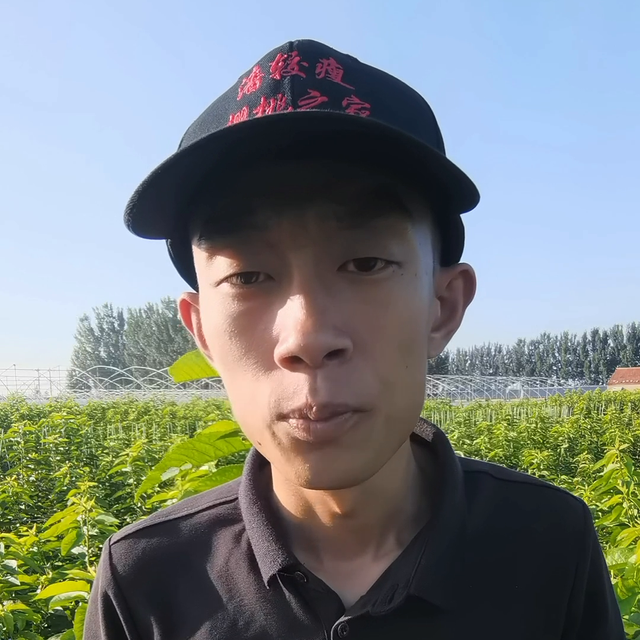 弗里斯克大樱桃，作为新品种，在南方种植，应当选择什么根...