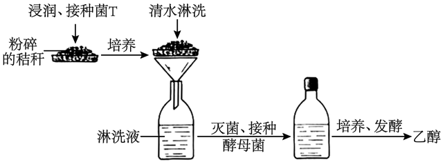 2023年高考全国乙卷生物真题