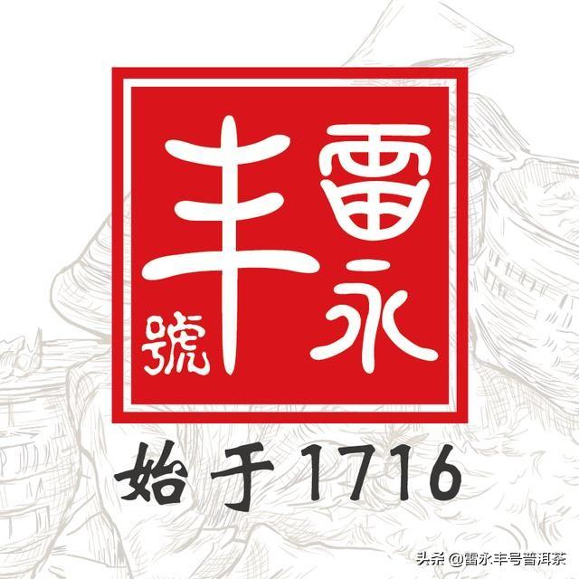 从野生茶树到一杯好茶｜普洱茶的树种，你都了解吗？