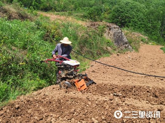 翻地、起垄、覆地膜......瀛湖镇付家扁村百亩烤烟种植正当时