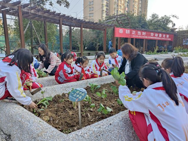 春耕正当时 劳动最光荣——记2022年九江市双峰小学劳动种植实践系列活动