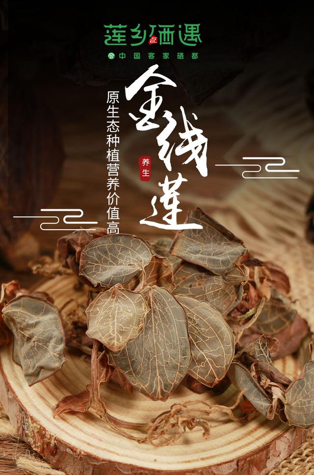 解密：金线莲种植指南