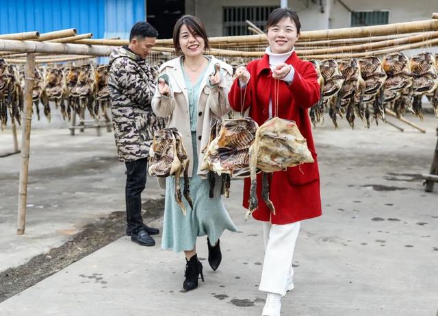 【上饶天下SHOW之万年县】万年这个乡是苏东坡后裔居住地，如今是特色文旅乡村！