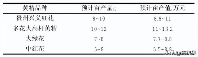 惊！黄精种植试验对比，谁是赢家？