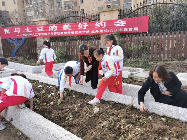 春耕正当时 劳动最光荣——记2022年九江市双峰小学劳动种植实践系列活动