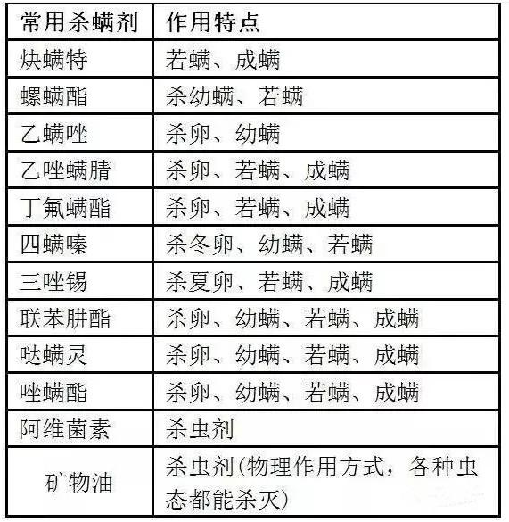 草莓红蜘蛛爆发期快来了！99%的人不知道这些干货