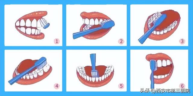 9•20全国爱牙日｜全身健康 从“齿”开始