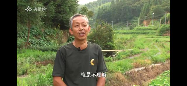 湖南男子承包100亩山地种辣椒，如今辣椒价格翻3倍，年销售400万