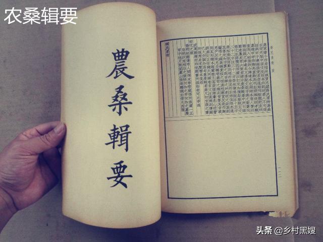 古代纺织的主要原料之一！浅谈苎麻在古代的重要性、及种植和发展