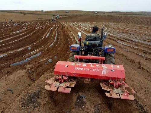 实现土地利用最大化，内蒙古兴安盟马铃薯该如何栽种？太高产了